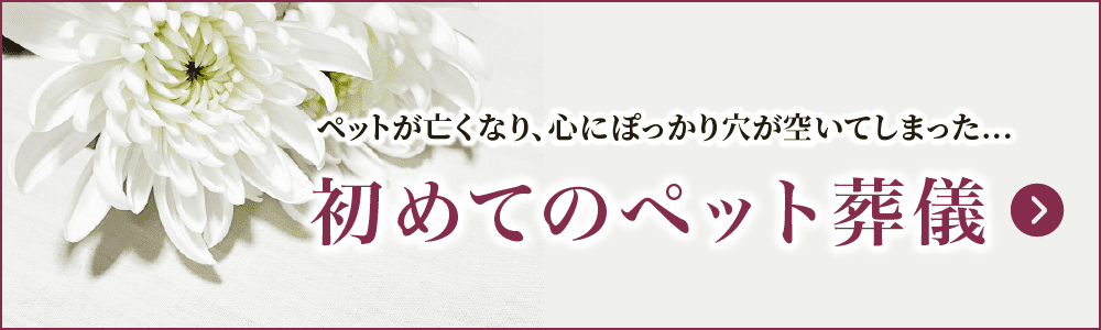 初めてのペット葬儀