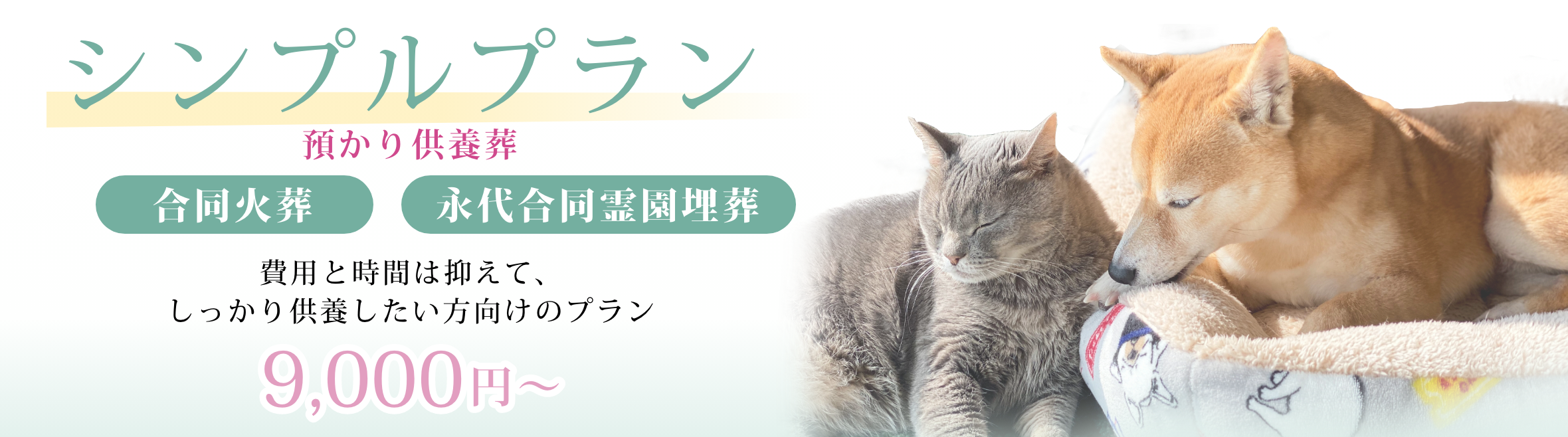 シンプルプラン 合同火葬・永代合同供養 8,800円〜